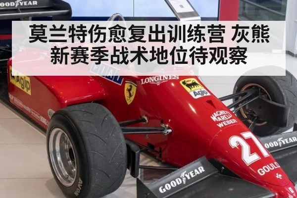 莫兰特伤愈复出训练营 灰熊新赛季战术地位待观察
